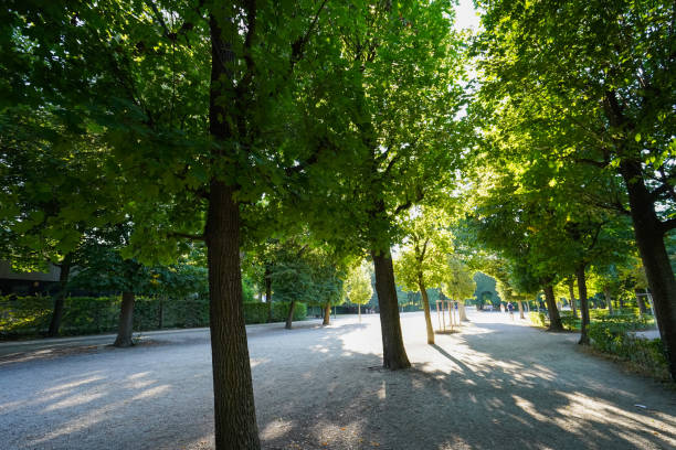 istock City view in Vienna, Austria 1071421740