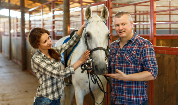 istock Smiling couple with white horse standing at stabling indoor 1071422942
