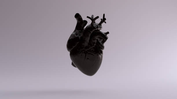 istock Black Anatomical Heart 1071429942