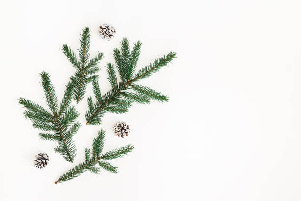 istock Christmas composition. Fir tree branches on white background. Christmas, winter, new year concept. Flat lay, top view, copy space 1071430432
