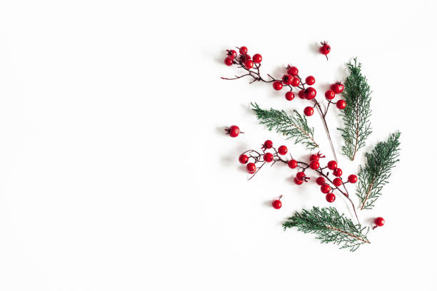 istock Christmas composition. Pattern made of fir tree branches and red berries on white background. Christmas, winter, new, year, nature concept. Flat lay, top view, copy space 1071430736