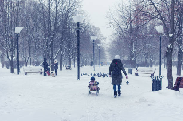 istock Mom pulls daughter on sled in winter park in snowfall 1071439046