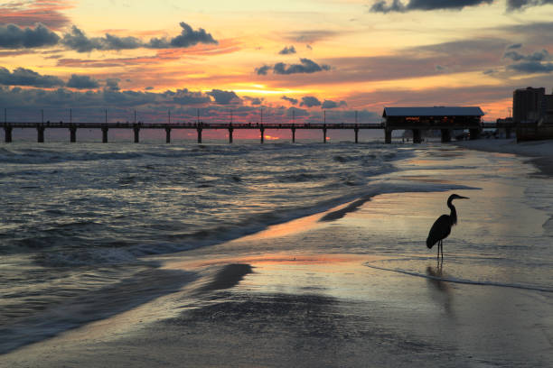 Orange Beach, Alabama - foto de acervo