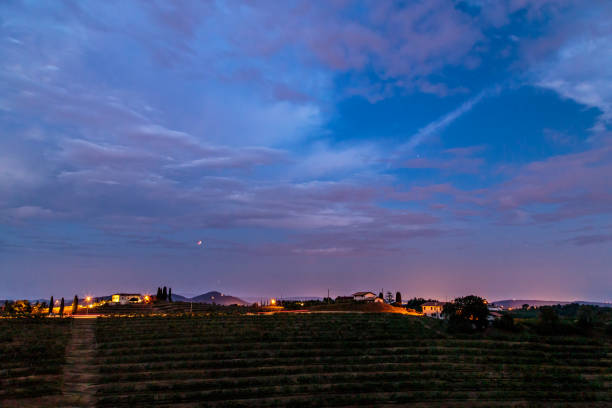 istock Evening in the vineyard of Rosazzo during a moon eclipse 1071441740