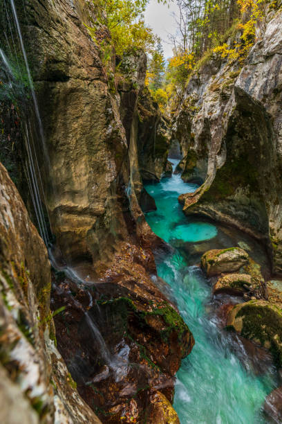 istock Velika korita, Soca valley 1071447364