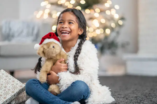 Photo of Hugging Christmas bear