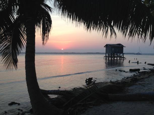 istock Tobacco Caye, Belize 1071454936