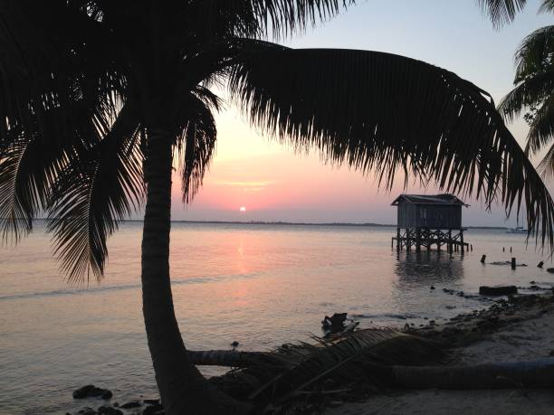 istock Tobacco Caye, Belize 1071454938