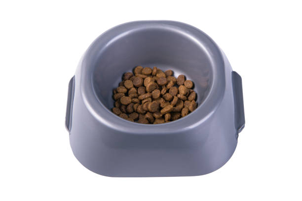 istock Bowl with dry cat food 1071458032
