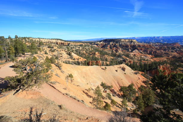 istock Bryce Canyon National Park, Utah-USA 1071467778