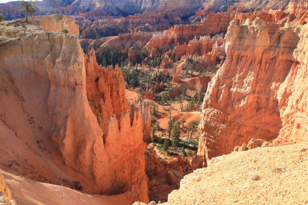 istock Bryce Canyon National Park, Utah-USA 1071468672