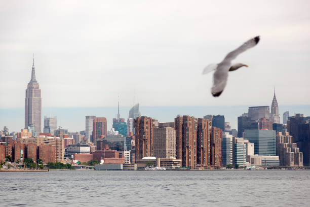 istock Views of Manhattan 1071470958