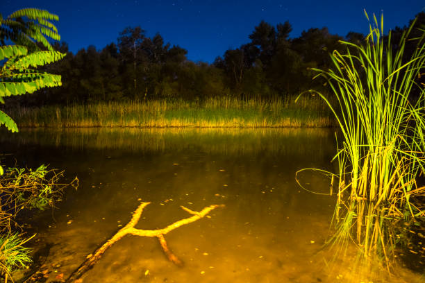 istock night scene, quiet river in the dark 1071476774