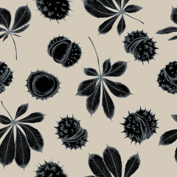 Buckeye Pattern 140+ Buckeye Pattern Stock Illustrations, Royalty-Free Vector Graphics ...