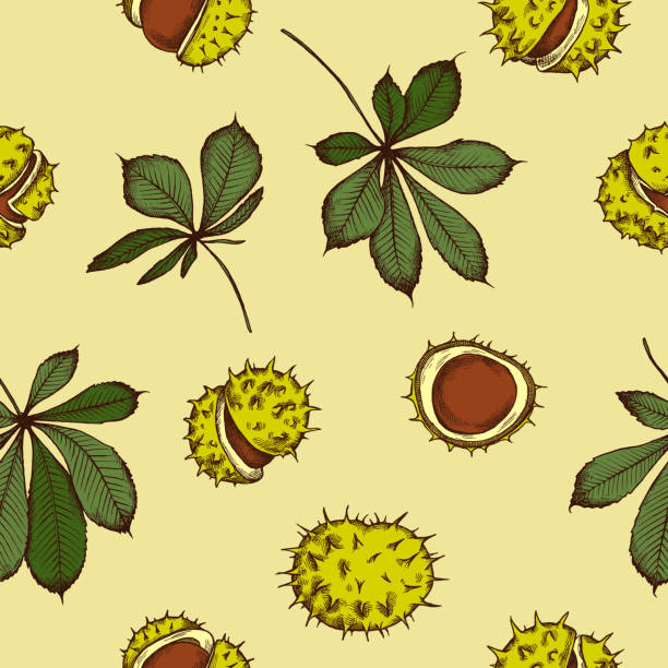 Buckeye Pattern 110+ Buckeye Background Illustrations, Royalty-Free Vector Graphics ...
