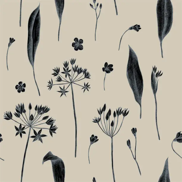 Vector illustration of Vector seamless pattern of wild garlic. Hand drawn vector illustration