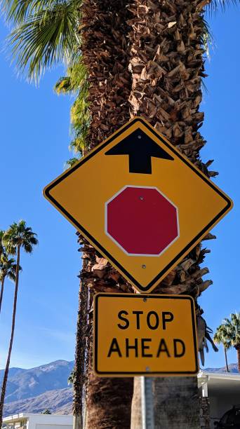 istock Stop ahead traffic sign in front of palm trees 1071479656