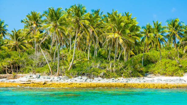 istock Beautiful rocky beach in uninhabited island 1071486136