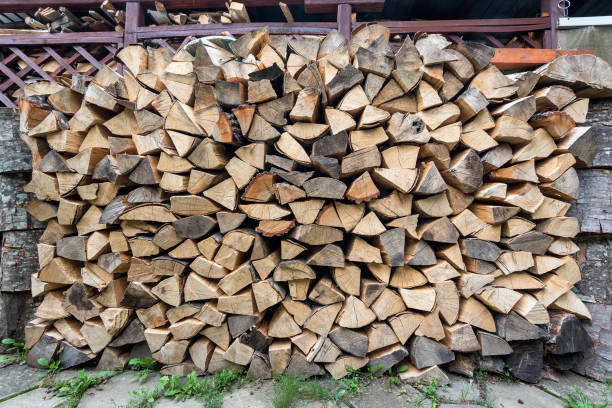 istock Dry chopped firewood logs ready for winter 1071486338