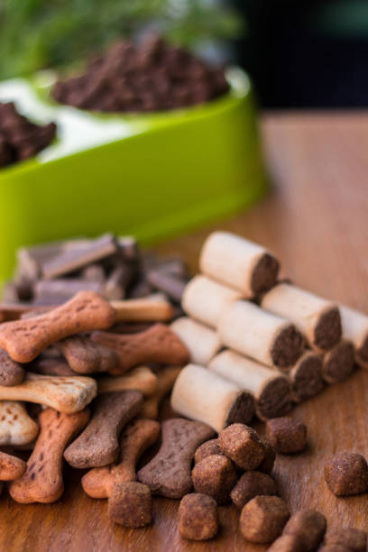 istock Dog food 1071490560