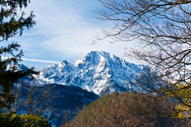 Mountain Herzogstand in the Bavarian Alps
