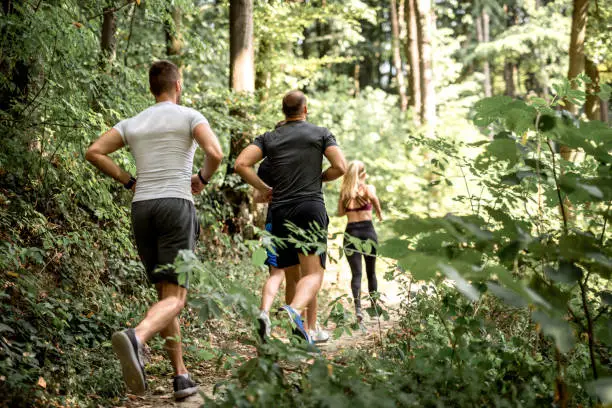 Group of people running in a forest on a sunny day.