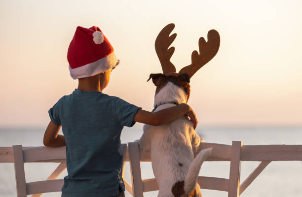 navidad en un concepto de playa con el niño con sombrero de santa claus y perro con diadema de cuernos de reno - people dog winter cute fotografías e imágenes de stock