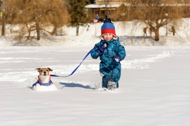 happy kid with dog on leash playing on intact fresh snow at sunny winter day - snow gear imagens e fotografias de stock