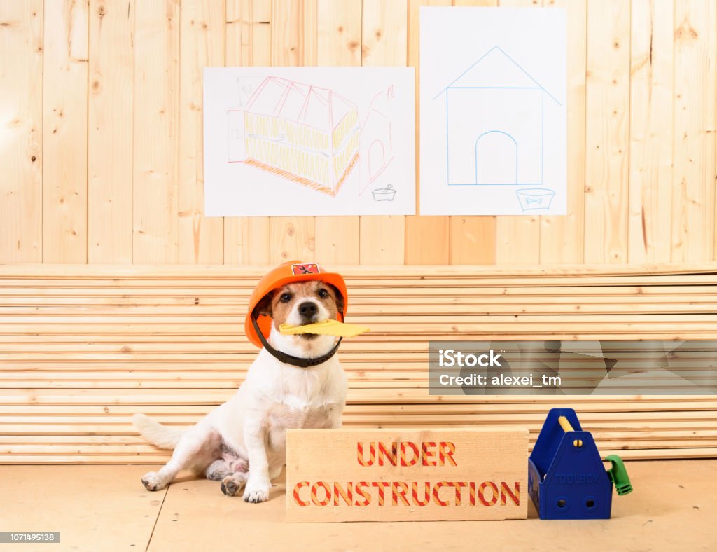 Amüsante Baumeister in Bauarbeiterhelm auf Baustelle neben dem Balken mit Label "Under Construction" - Lizenzfrei Baustelle Stock-Foto
