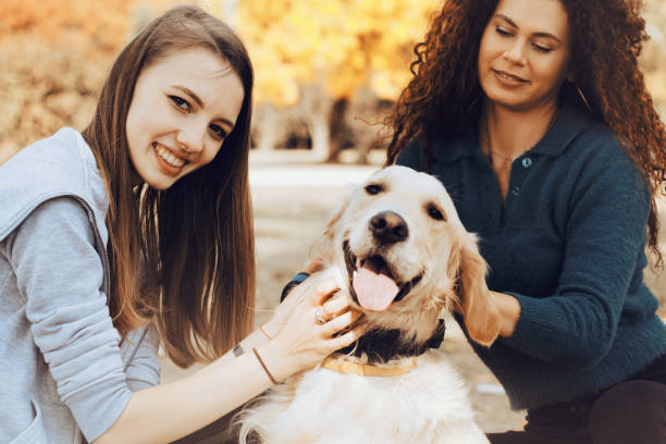 istock Girlfriends playing with dog in the park 1071500618