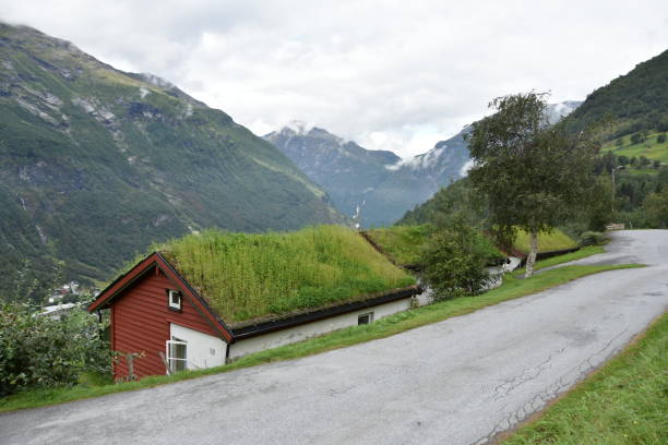 istock HOUSE IN THE GREEN 1071501074