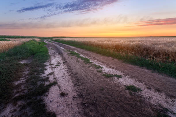 istock trail on the field during sunset 1071504658