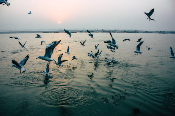 istock Colors of India 1071513168