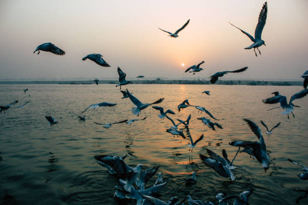 istock Colors of India 1071513840