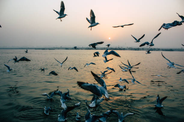 istock Colors of India 1071514894