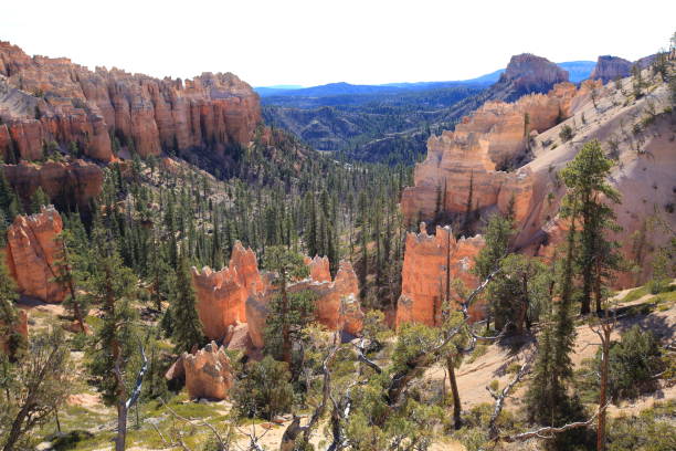 istock Bryce Canyon National Park, Utah-USA 1071517270