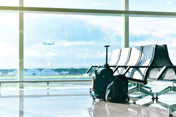 istock Air Travel and Luggage 1071531546