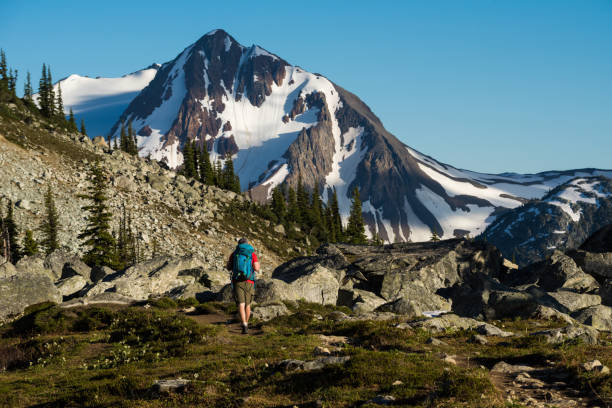 istock Hiking in the alpine 1071540506