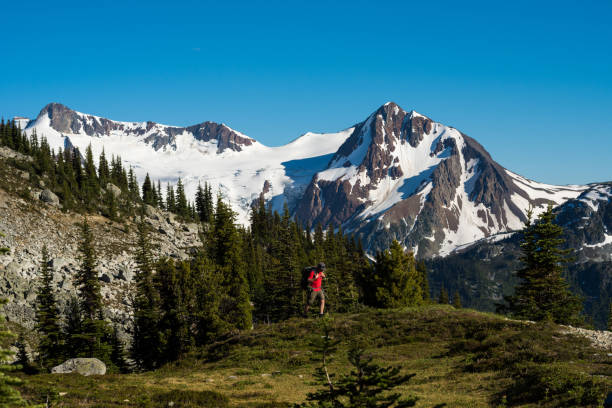 istock Hiking in the alpine 1071540604