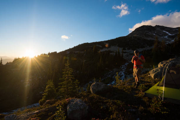 istock Hiking in the alpine 1071540722
