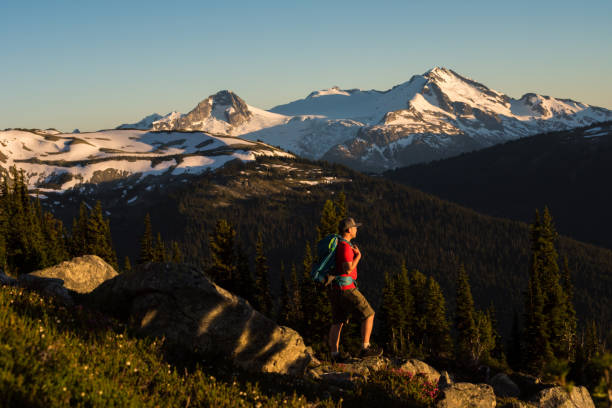 istock Hiking in the alpine 1071540848