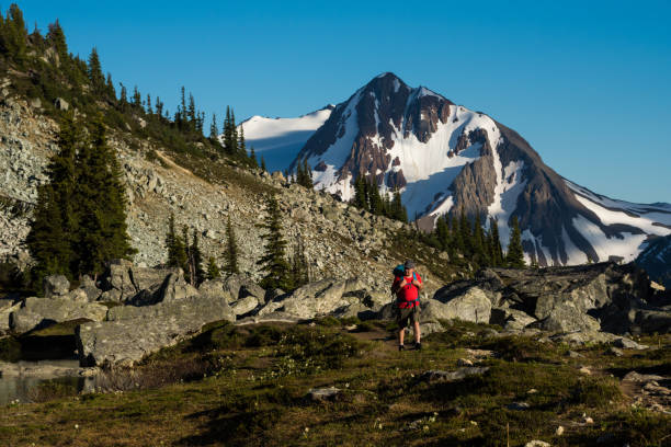 istock Hiking in the alpine 1071540868