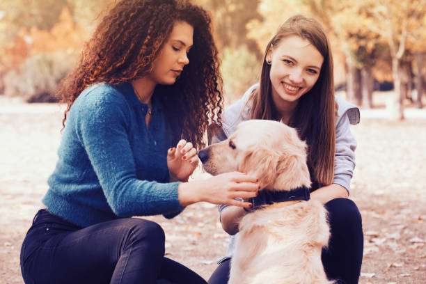 istock Girlfriends playing with dog in the park 1071542528
