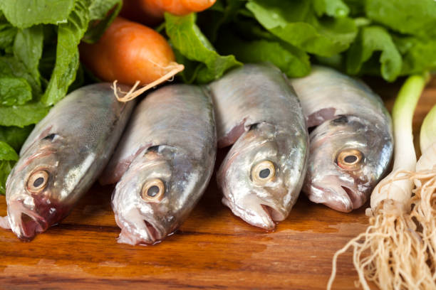 istock raw sea food salad fish and vegetables 1071553944