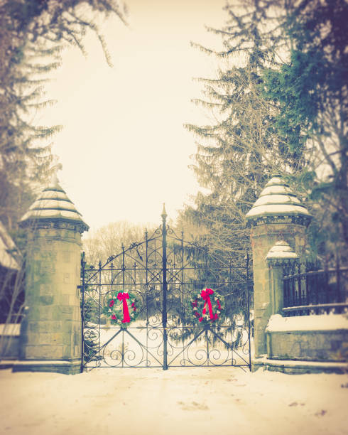 istock Old vintage cemetery gates 1071561964