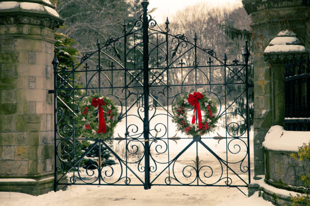 istock Old vintage cemetery gates 1071561984