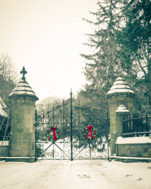 istock Old vintage cemetery gates 1071562026