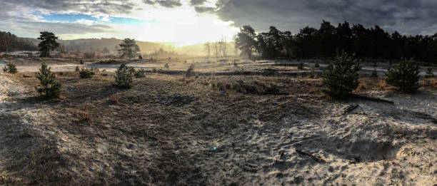 istock Mystic winter wetland 1071566996
