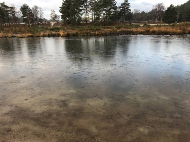 istock Mystic winter wetland 1071566998