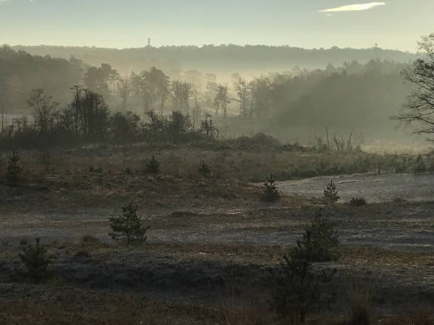 istock Mystic winter wetland 1071567002